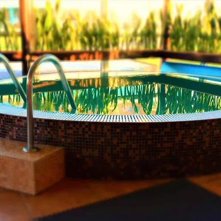 Atostogu Namas Su Baseinu, Jacuzzi Ir Pirtimi Ferienhaus