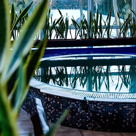 Atostogu Namas Su Baseinu, Jacuzzi Ir Pirtimi Klaipėda