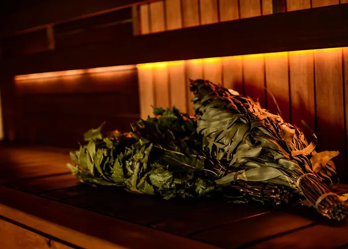 Atostogu Namas Su Baseinu, Jacuzzi Ir Pirtimi Vakantiehuis