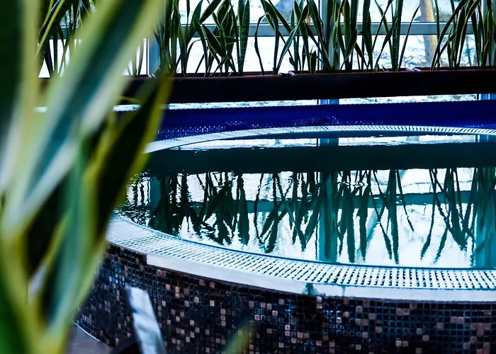 Atostogu Namas Su Baseinu, Jacuzzi Ir Pirtimi Klaipėda